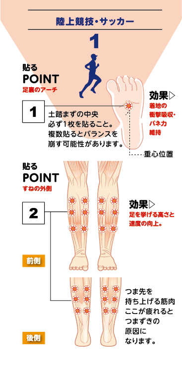 Q-ARC 04